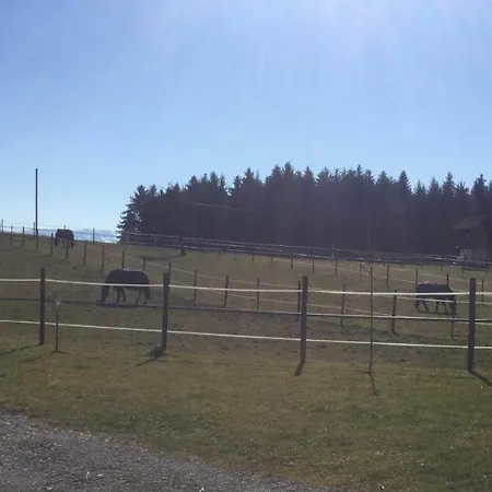 דירה Hof Pferdeglueck *