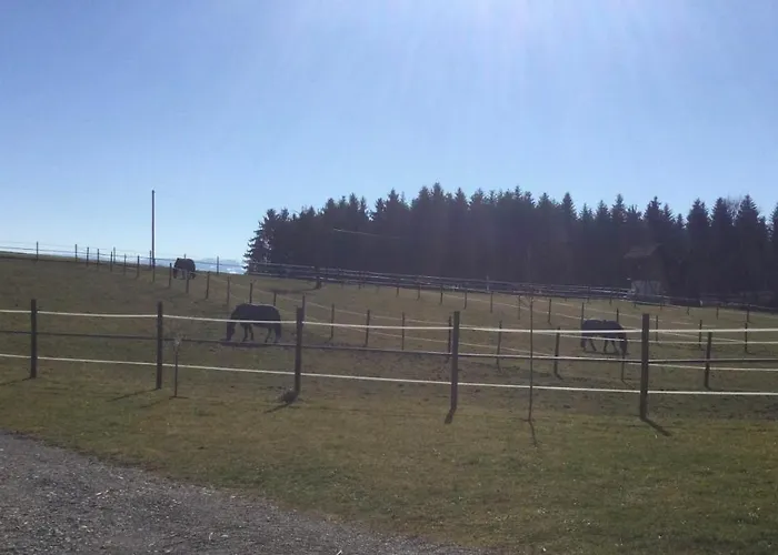 Appartamento Hof Pferdeglueck *